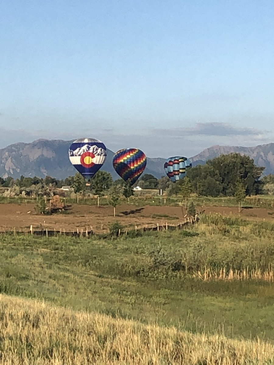 Misty Montano tweet media