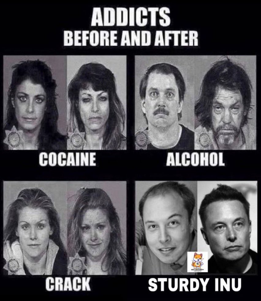 SturdyInu's tweet photo. @gandalfcryptto https://t.co/Su0xsttJ9H