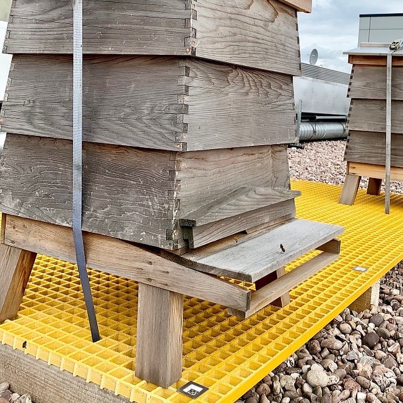 TheSoapworks's tweet image. 𝕋𝕙𝕖𝕣𝕖’𝕤 𝕒 𝕟𝕖𝕨 ℚ𝕦𝕖𝕖𝕟 𝕠𝕟 𝕥𝕙𝕖 𝕓𝕝𝕠𝕔𝕜; 𝕥𝕠 𝕓𝕖𝕖 𝕠𝕣 𝕟𝕠𝕥 𝕥𝕠 𝕓𝕖𝕖, 𝕥𝕙𝕒𝕥 𝕚𝕤 𝕥𝕙𝕖 𝕢𝕦𝕖𝕤𝕥𝕚𝕠𝕟 🐝

#BeeKnees #Bee #BeeKeeping #Honey #RoofTop #ManchesterBee