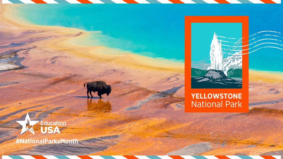 🌲  Happy National Parks Month!  Since the establishment of <a href="/YellowstoneNPS/">Yellowstone National Park</a> in 1872, more than 1,200 national parks and preserves have been created in 100 countries around the world.  There’s a national park for everyone!  #NationalParksMonth  <a href="/NatlParkService/">National Park Service</a>