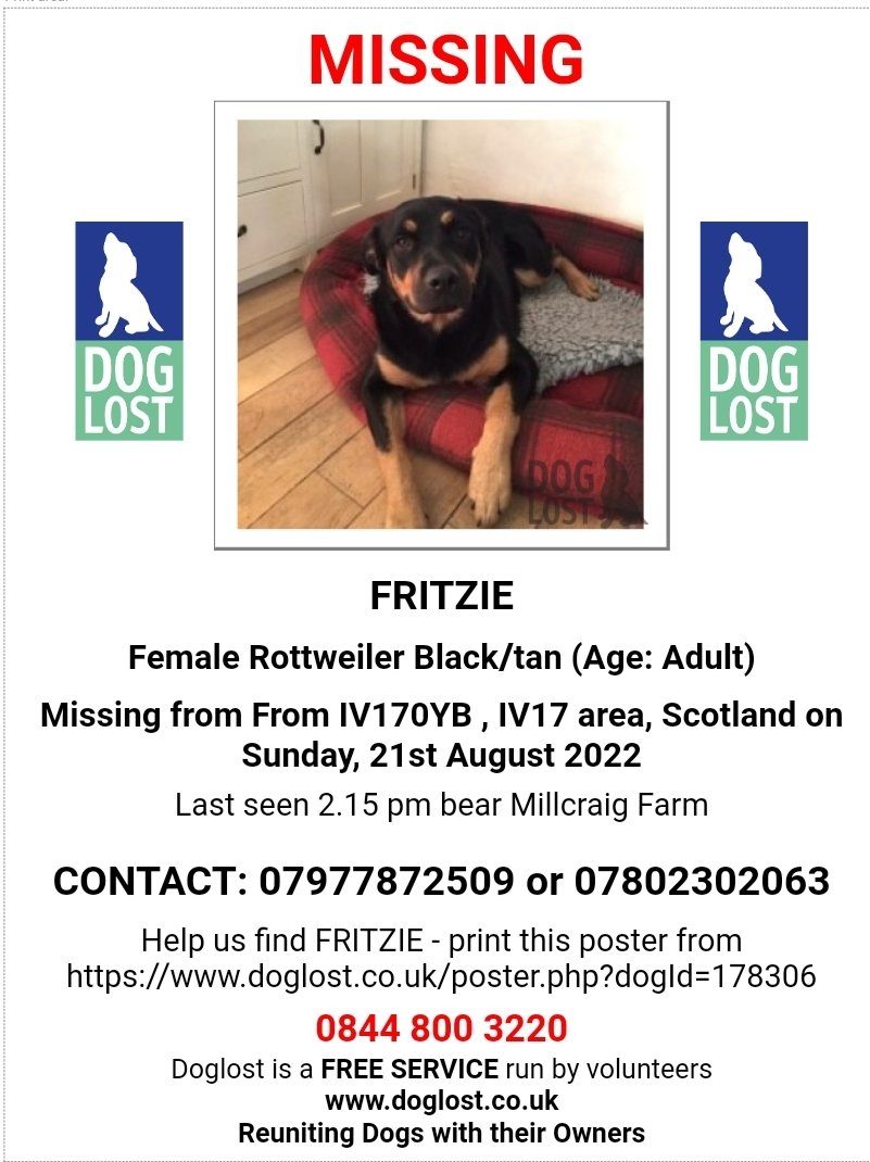 MissingPetsGB's tweet photo. ππFIN & FRITZIE are #missing from Ardross #IV17 #Scotland since
Sunday 21 August 2022 after escaping owner.
They were last seen 2.15pm nr Millcraig Farm
Fritzie is a female spayed rottie https://t.co/BfCCGLDdYK
Fin is a grey/sable male. Romanian rescues.
https://t.co/EpsmUHpQ8m https://t.co/zBJKqFe62m