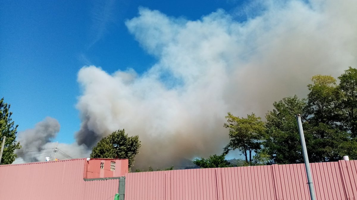 Berbesdevigo's tweet photo. Un cariñoso saudo a todos os fillos de puta que están destruíndo o noso país. Hoxe a lotaría pirómana tocou a Meira -Moaña!! https://t.co/bht9bKMjlv