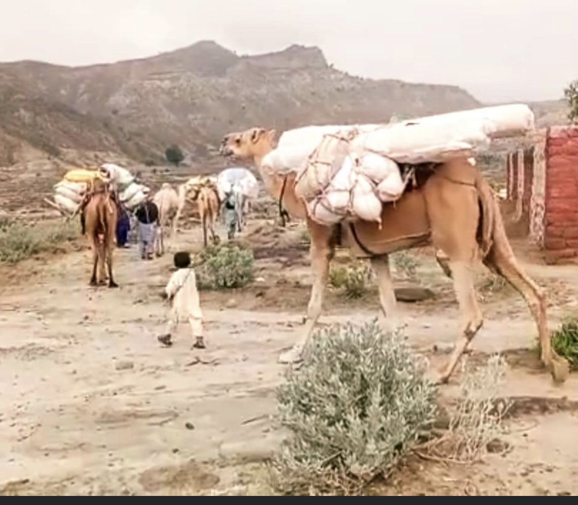 FaizOficial's tweet photo. Flood relief activities in Northern areas of Taunsa Sharif in 2022!!!!
#SaveSouthPunjab
#TaunsaneedsHelp https://t.co/BnknLA0iXD