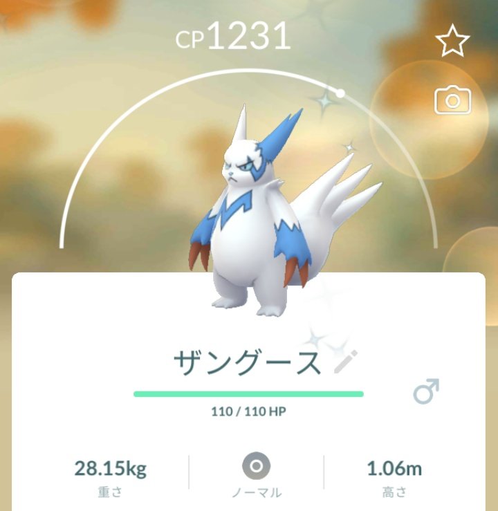ザングース色違い Twitter Search Twitter ザングース色違い Twitter Search Twitter