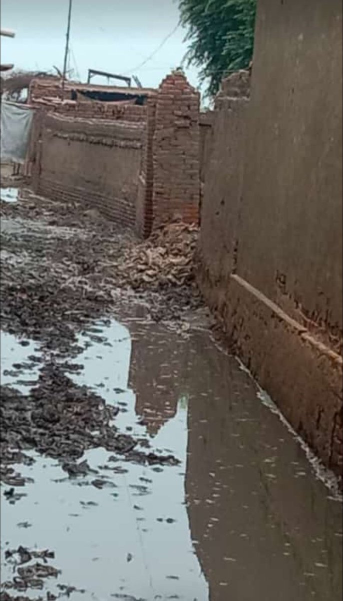 WasioMuhammad's tweet image. The current situation of my village due to heavy rain many people have lost their homes, and are suffering a lot if someone wants to donate to help them please dm me. Save lives
#Sindhfloods
#SindhRains #FloodSituation #donate #mondaythoughts