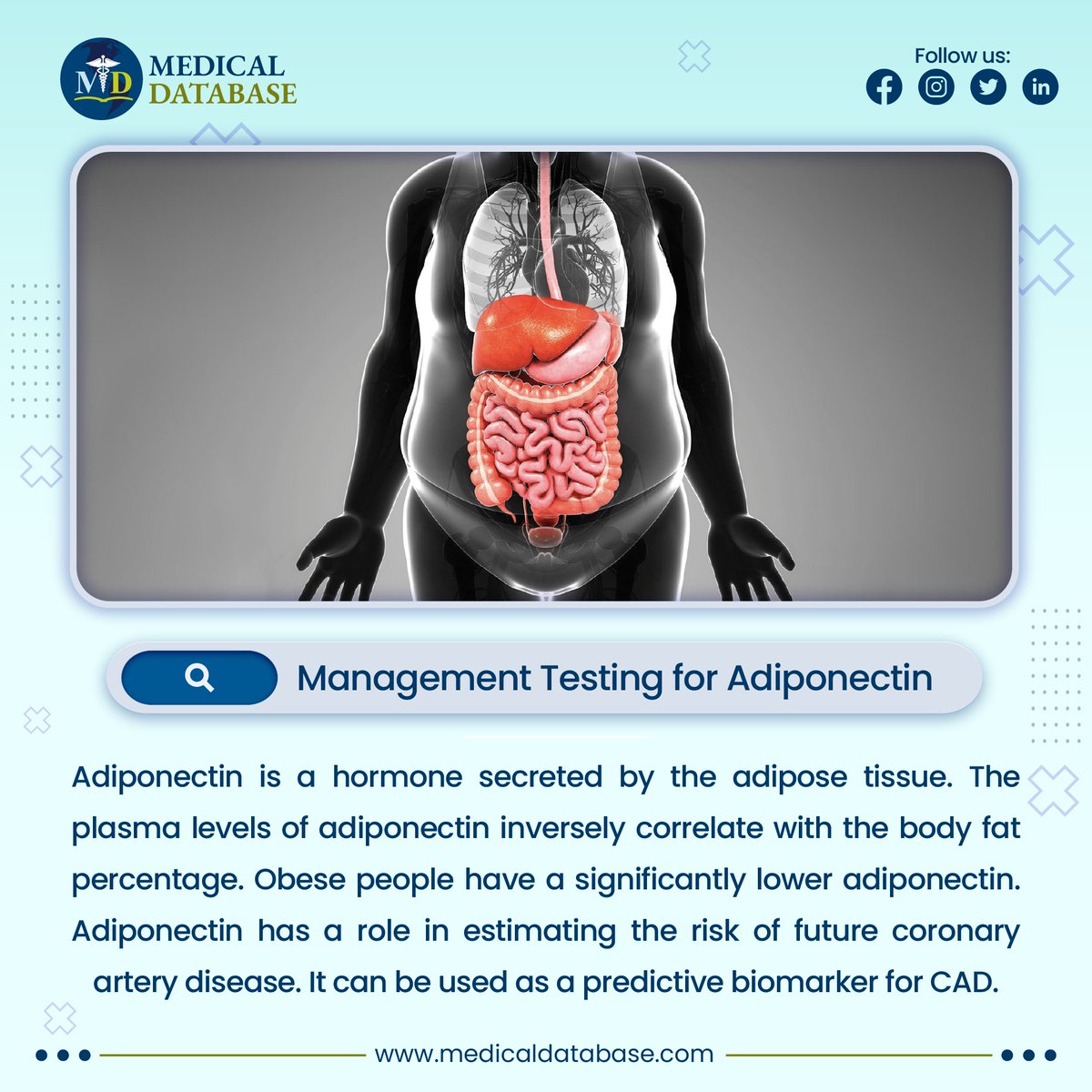 DatabaseMedical's tweet photo. Learn more about the estimation of this biomarker with Medical Database.
https://t.co/ZgQSN9ZeFF
#MedicalDatabase https://t.co/vH5Epdqc8N