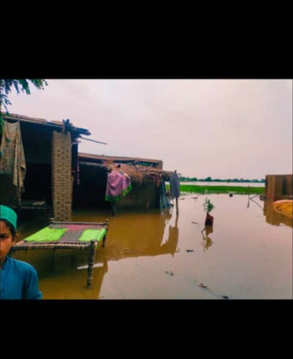 WasioMuhammad's tweet image. The current situation of my village due to heavy rain many people have lost their homes, and are suffering a lot if someone wants to donate to help them please dm me. Save lives
#Sindhfloods
#SindhRains #FloodSituation #donate #mondaythoughts