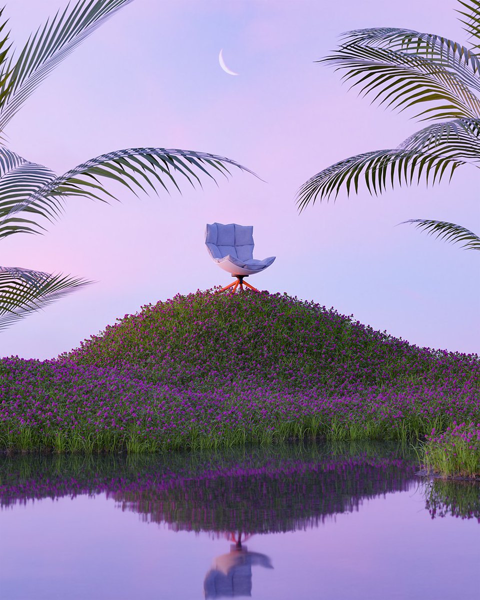 Panoramic tweet media