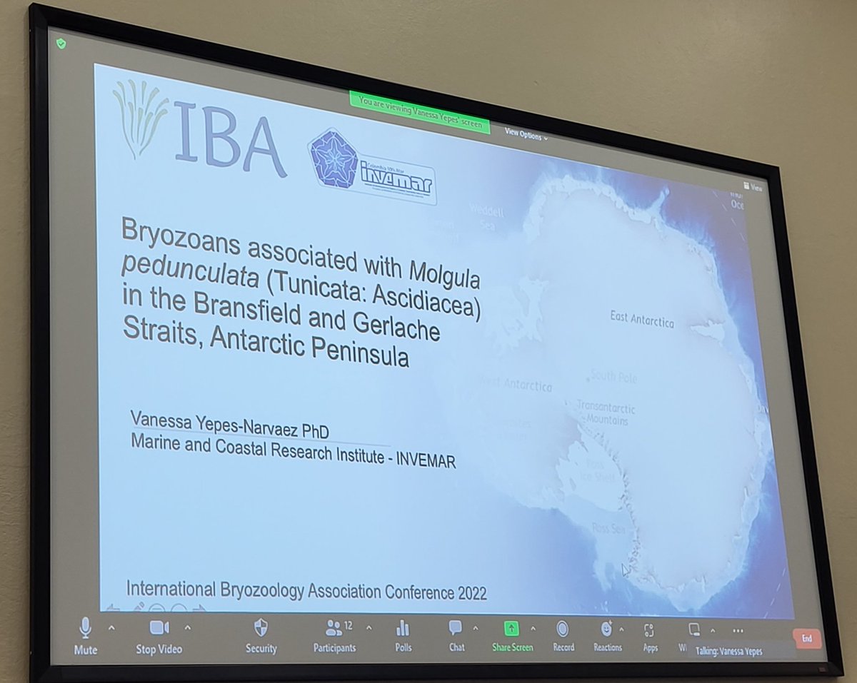 <a href="/VYepesNarvaez/">Vαnessazuℓ</a> talking on Antarctic bryozoan diversity associated with Mogula pedunculata at #IBA2022 <a href="/Bryozoology/">International Bryozoology Association</a>. We found bryozoan species on this ascidian species in the past but I didn't imagine there was such diversity! Great work!
