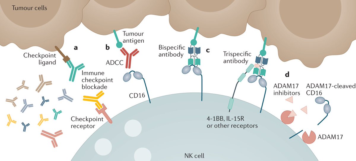 Nature Reviews Drug Discovery tweet media