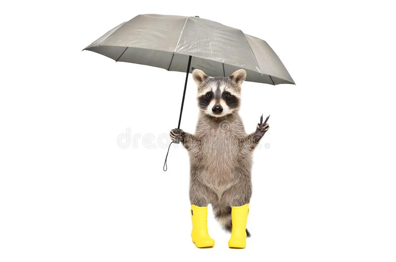 DiasHDXD's tweet photo. @keinbockmehrr_ aber nur wenn du deine gummi stiefel dabei anhast https://t.co/gNMISZIagI
