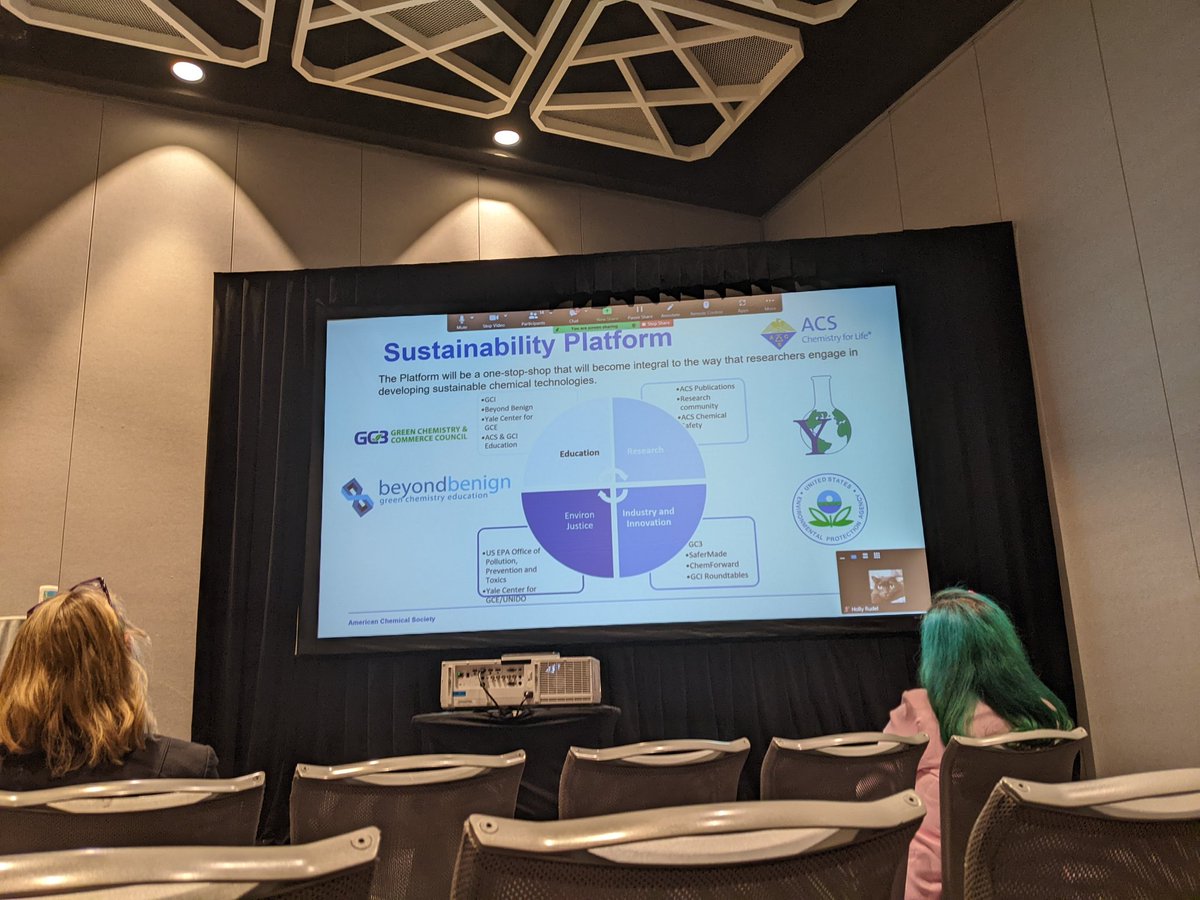 Partnerships for a sustainable future! Adelina is here at the #ACSFall2022 talking about @ACSGCI's sustainability platform and the collaboration with @The_GC3, @beyondbenign, @YaleGCGE, and @EPA! 👏👏👏👏 #GreenChemistry #sustainability