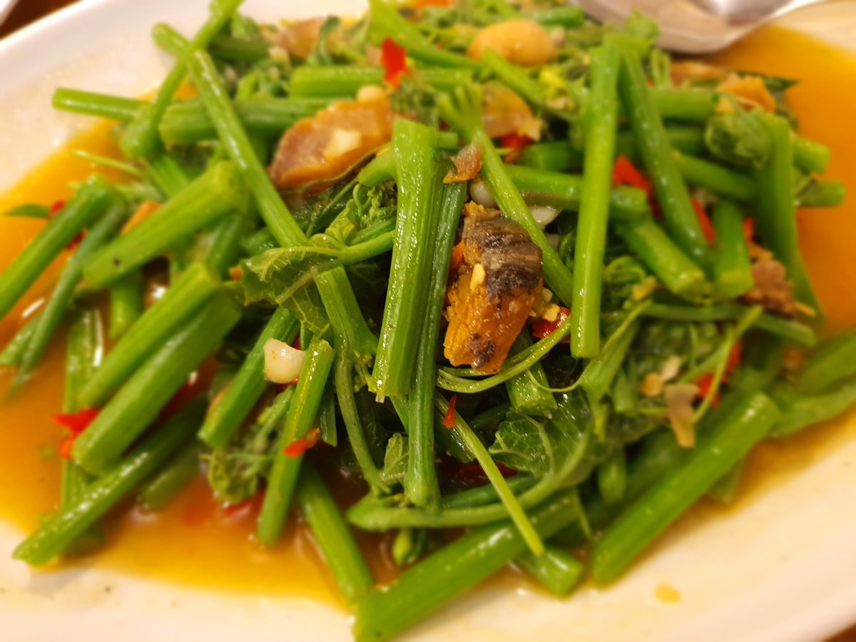 May_IndyMaya's tweet photo. Vegetables Monday Vibes 😋♥️😍✨

#LunchDinnerTimes #Dinner #Monday #Mondayvibes #Vegetable #StirFriedVegetables 🥢😍#LookDelicious🥰 #Delicious😋#Yummy😋🥢#Food #ThaiFood #非常好吃🥢😋 #曼谷 #泰国 https://t.co/rBoTlQhJkw