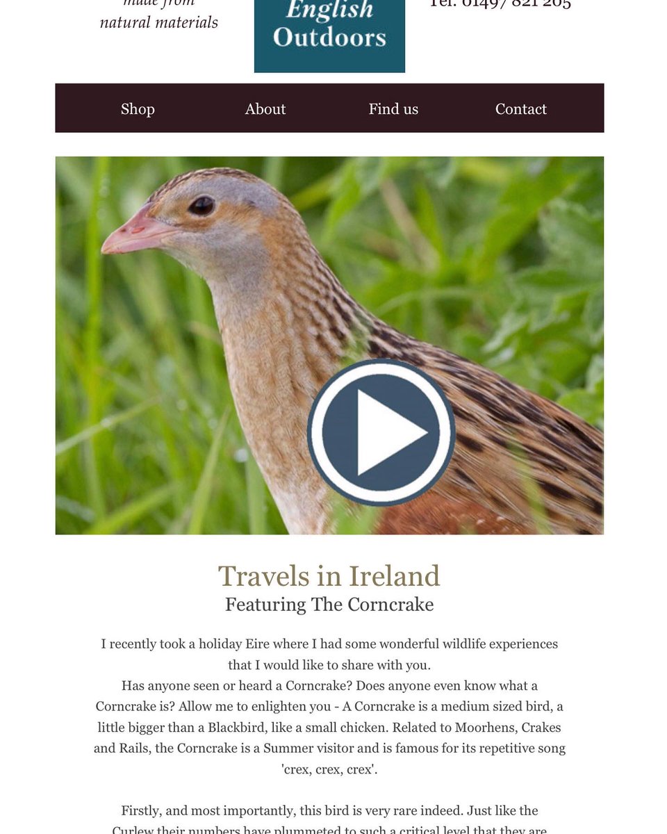 EnglishOutdoors's tweet photo. August Nature Notes is out https://t.co/FtfRRQ7HNR Travels in Ireland…, @WildlifeTrusts @savebutterflies @LeifBersweden @NewDad https://t.co/fXDa0jihGx