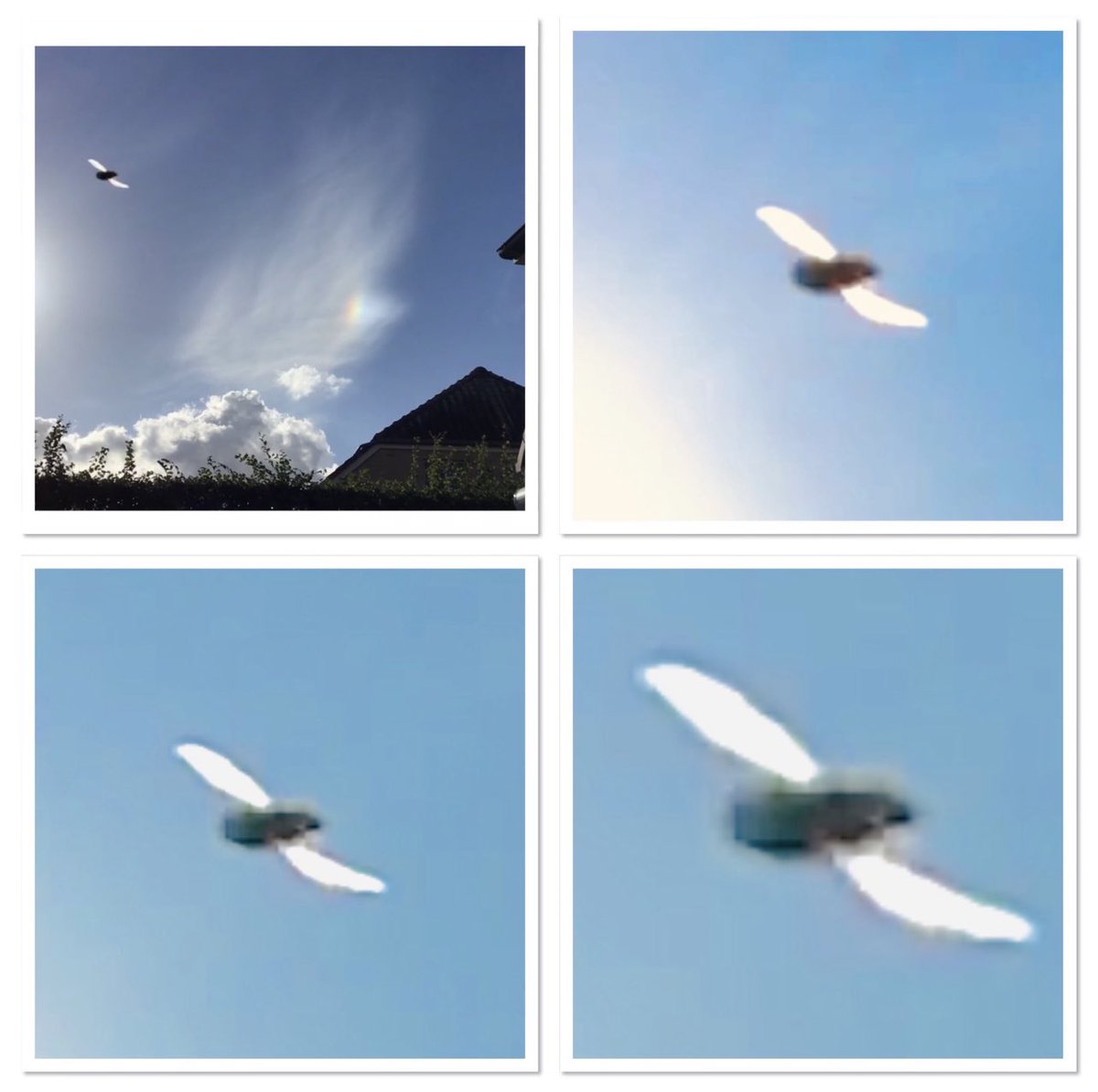 DayleSea's tweet photo. 4 different experiencers all posting the same photos? #ufotwitter ?! @DarrylJonkemp @Sh_tNoFake @theufosecret  This is not coincidence. Does anyone have any theories here? https://t.co/z9QxV7T0Dv