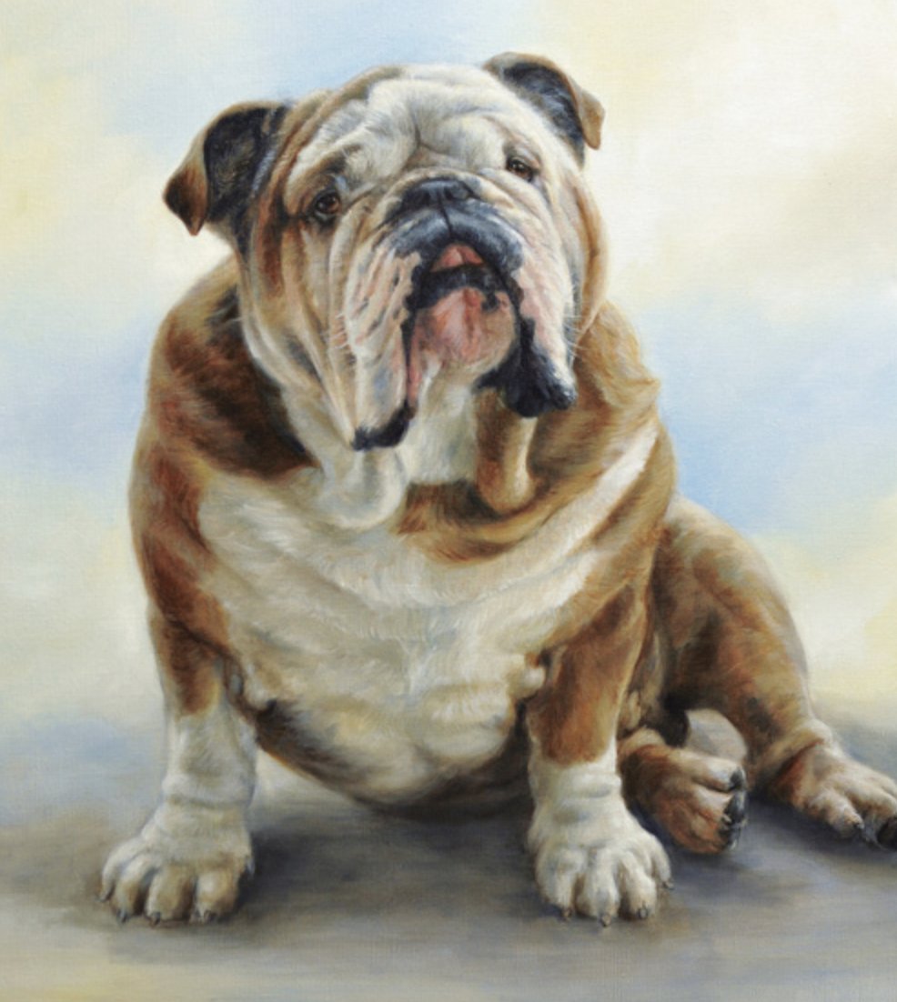 Художник Marjolein Kruijt