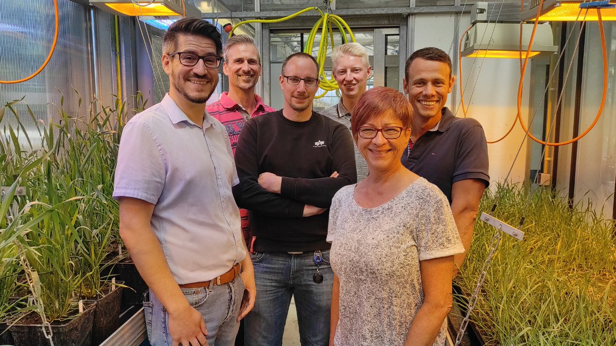 itsOWL_Cluster's tweet image. 🌱 Wie kann #KI in der Pflanzenzucht eingesetzt werden? 

Mit dieser Frage beschäftigt sich unser Projekt #AI4ScaDa, indem #KI-Anwendungen für #SmallData entwickelt werden. 

Bei der @SaatenUnionGmbH bekam das Team Einblicke in das Unternehmen. Mehr Infos: its-owl.de/ai4scada