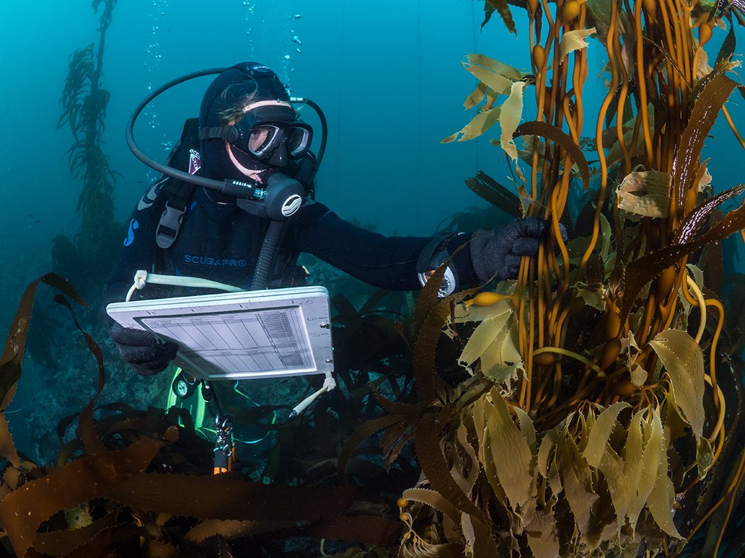 Kate Vylet tweet media