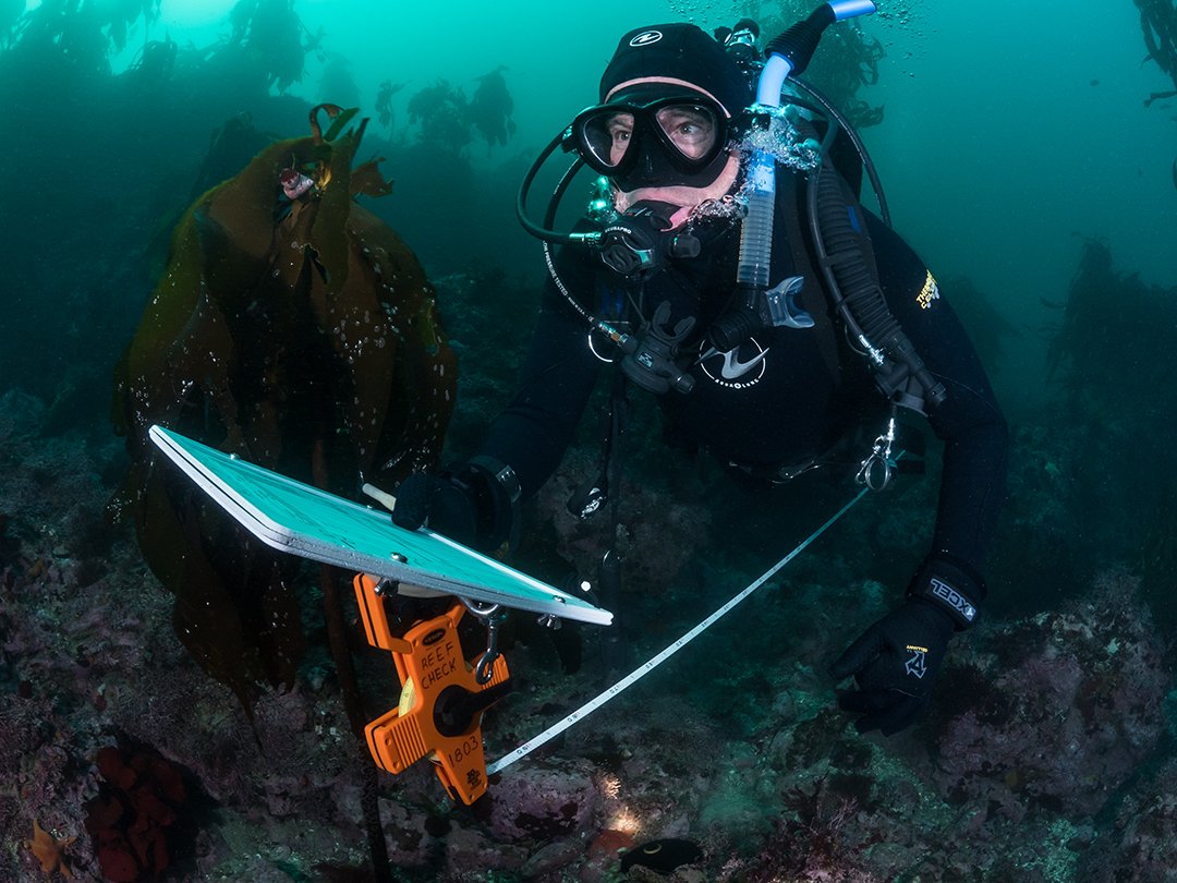 Kate Vylet tweet media