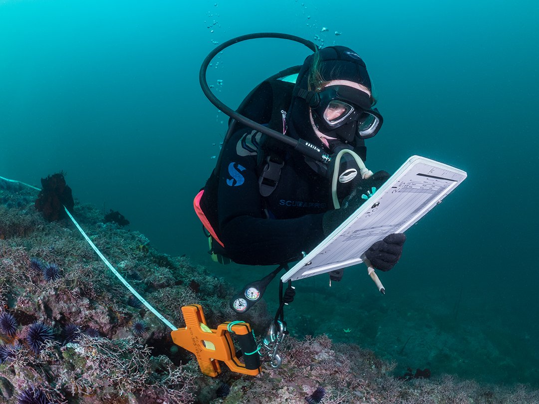 Kate Vylet tweet media