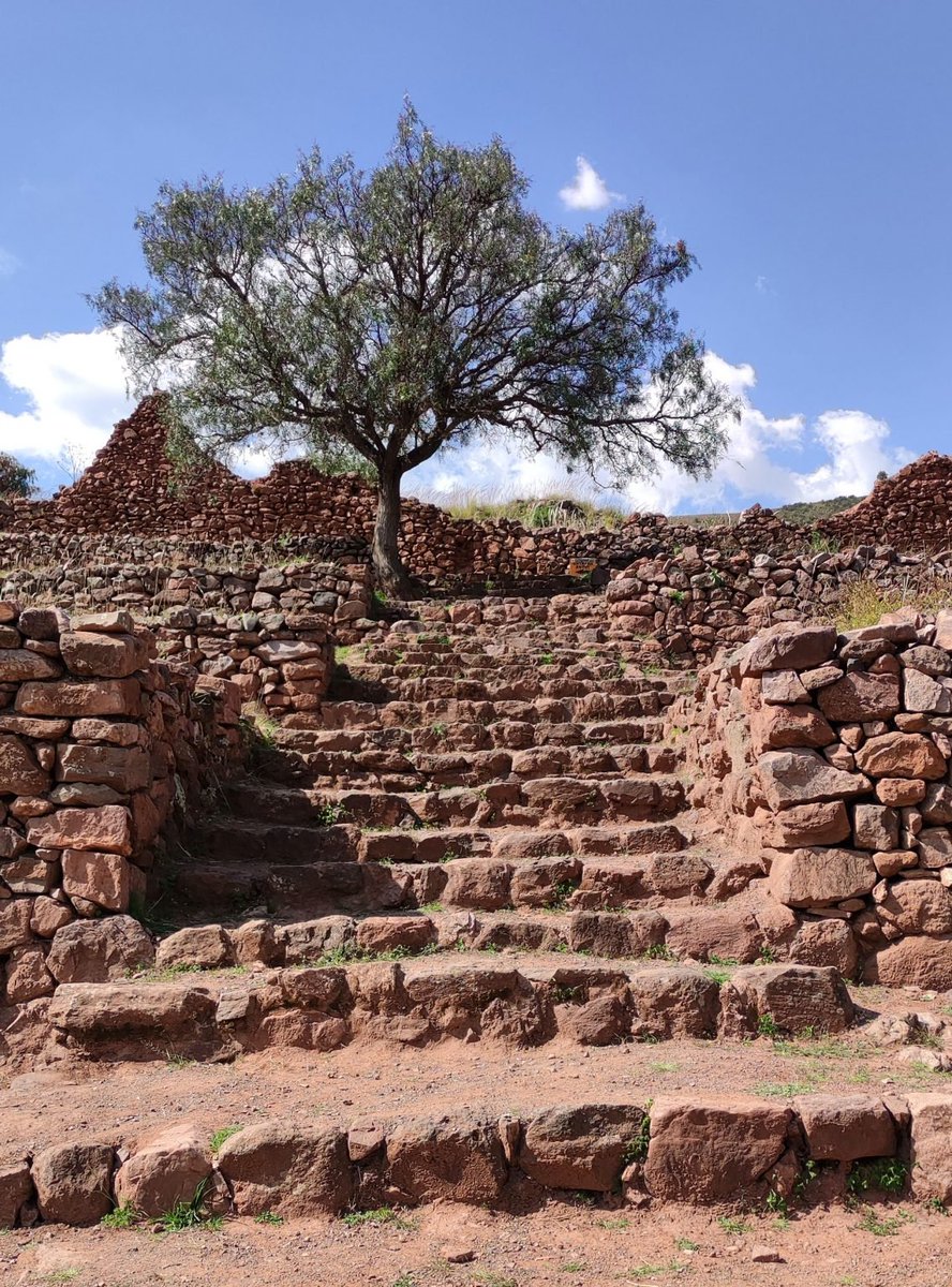 HiddenArchitect's tweet photo. Pikillaqta
Cuzco, Peru. 540

https://t.co/ZAMvGc2rO6 https://t.co/tpX4uSfTSg