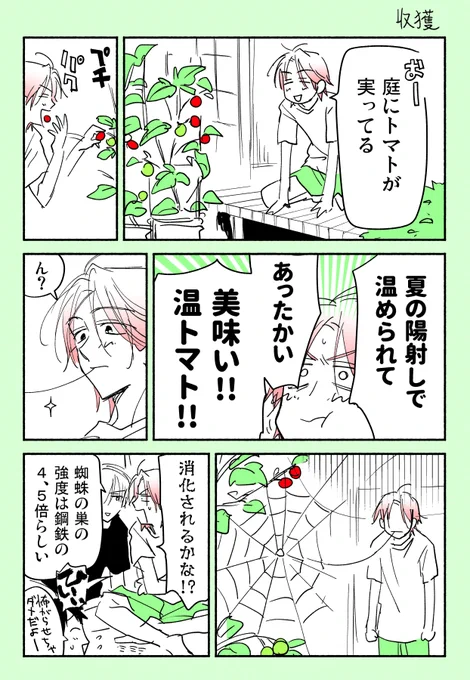 【番外編】収穫 