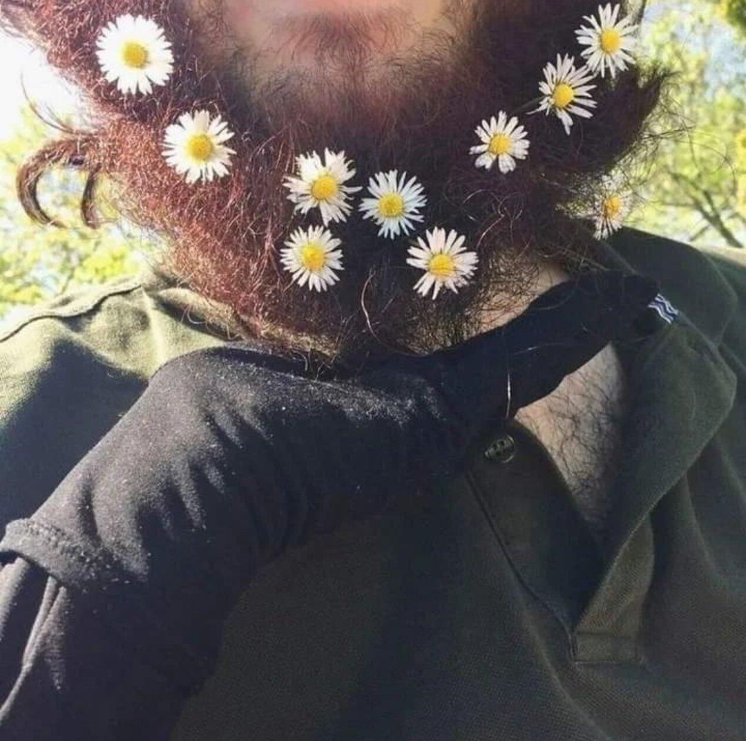 Abdal__Abdullah's tweet photo. ~When wife loves beard. 🌼☺️❤️
#MoveTowardsSunnah https://t.co/Vj1xUoBxwt