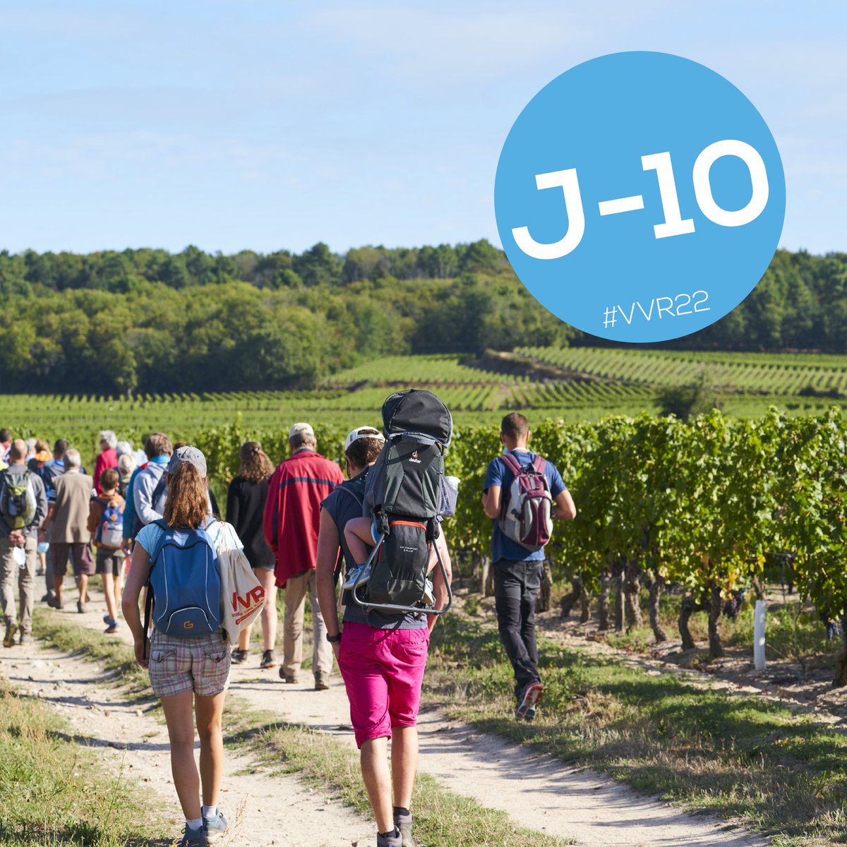 vvrvaldeloire's tweet photo. J-10 avant Vignes Vins Randos ! 🍇🌿☀️😊
Quelques places sont encore disponibles sur https://t.co/V4mJzLBrlO ✅
#vvr2022 #vvrvaldeloire #readyforvvr https://t.co/li5hNZZdF9