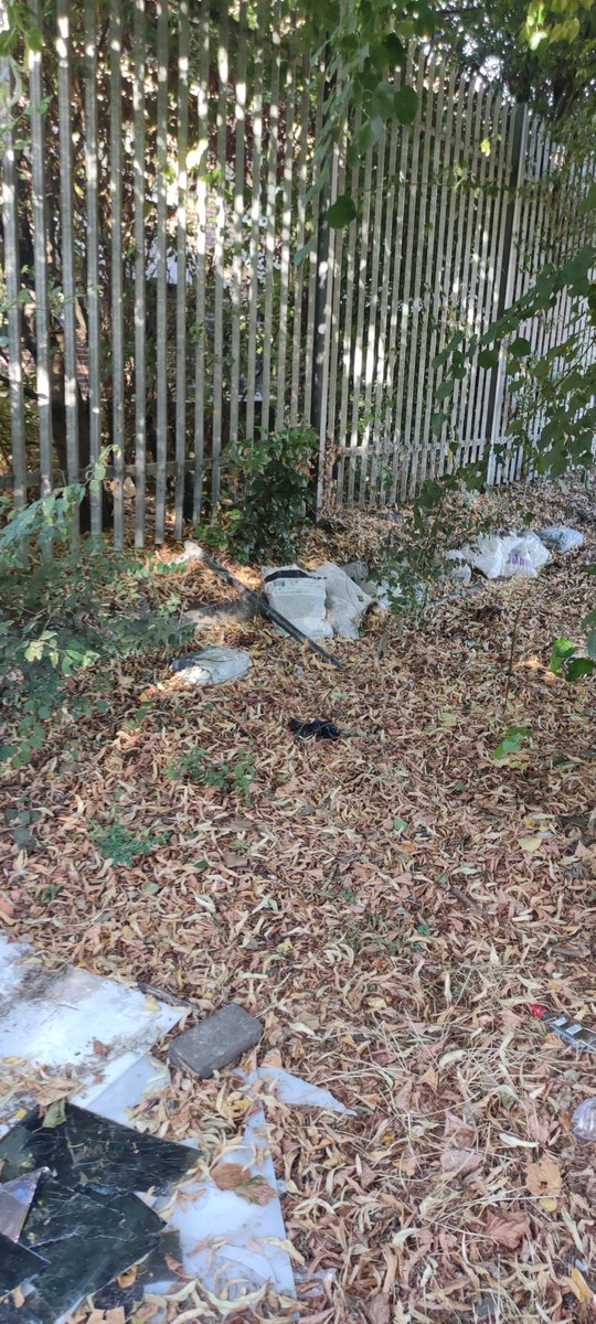 fkrrg's tweet photo. @ContactKingston 17 days since logging a fly tipping request, multiple emails from 3 of our members and still rubbish not removed.  More and more rubbish is being dumped in the park. @FocusNorbiton https://t.co/NGLiSPvmrP