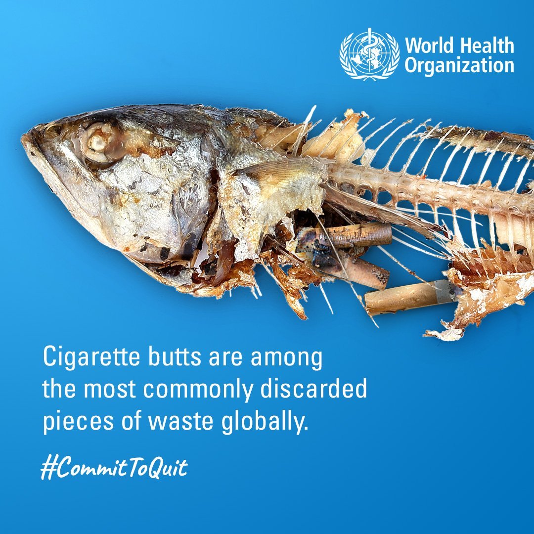 It takes 🔟 years for a cigarette to decompose allowing further chemical  damage to leach into our eco-system. There is #OnlyOneEarth 🌎🌍🌏