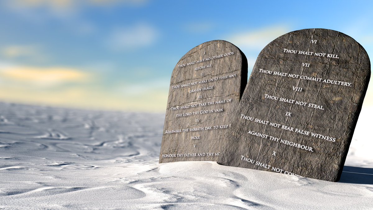 Physio Network tweet media