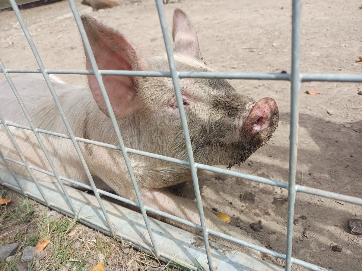 Leanne Teasdale tweet media