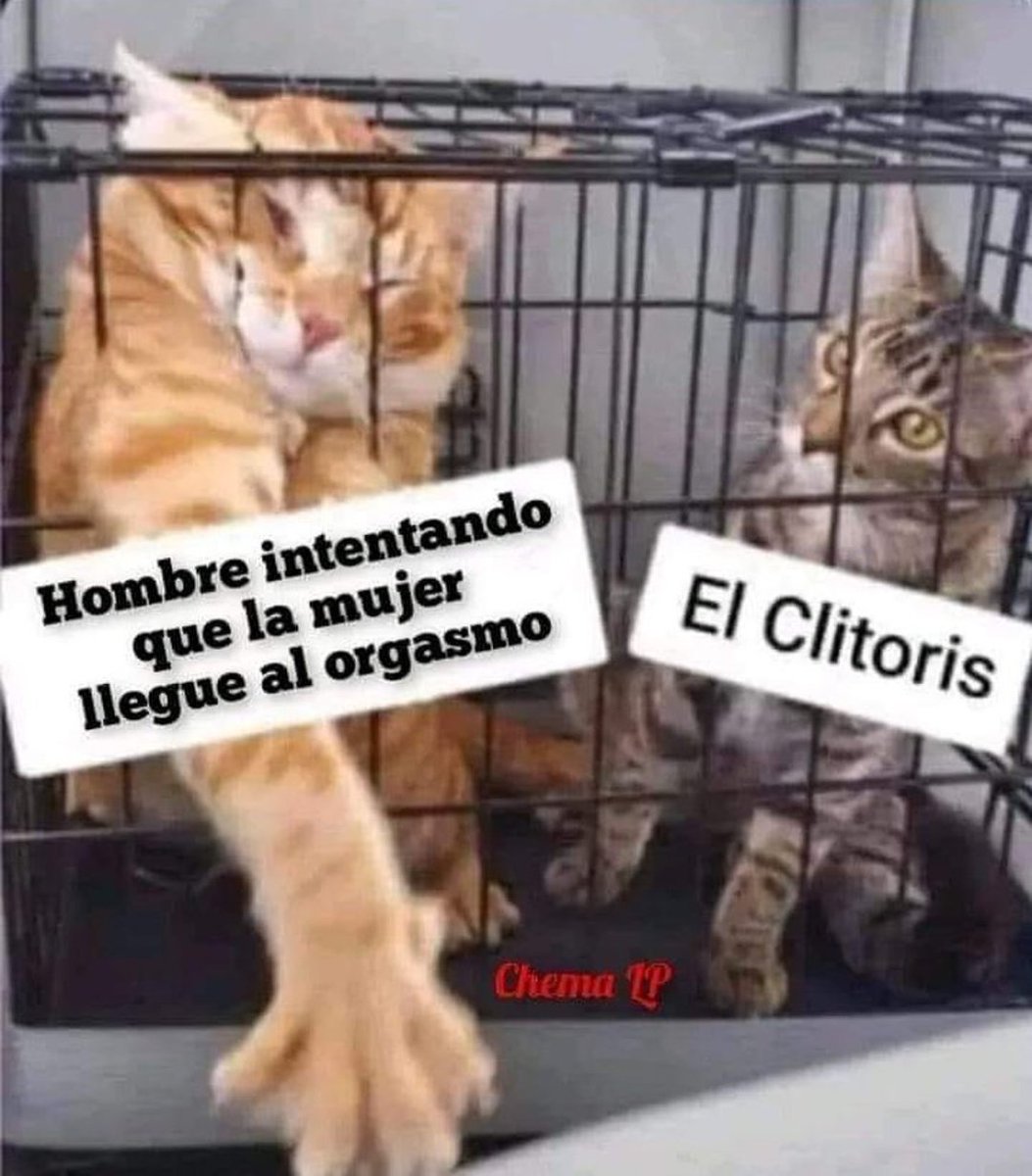 ZellenDust's tweet photo. JA! PARA ESO PRIMERO TENDRÍA QUE QUERERME ALGUIEN! ✌️ https://t.co/wXuej63jlK