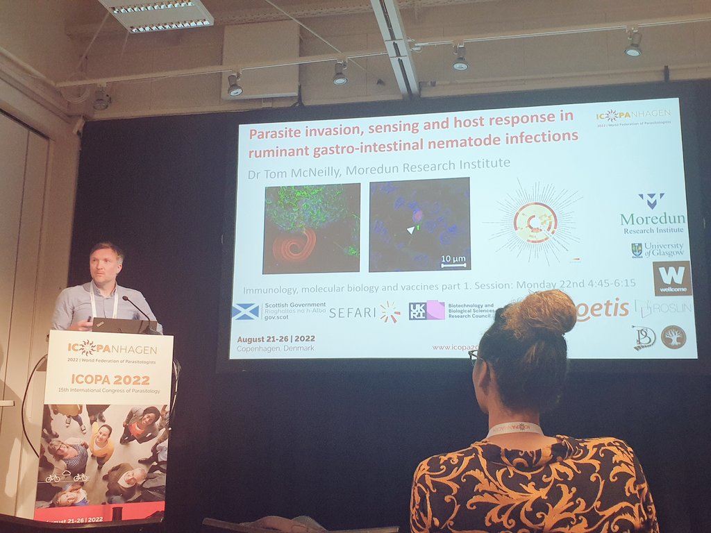 GeordieParasit's tweet photo. Dr Tom McNeilly bags two talks today @ICOPAnhagen. Wearing his 2nd hat, he gives a diverse talk on new in vitro host:parasite interaction models, immunology and vaccinology of ruminant GINs

@MoredunComms #ICOPA2022 #ICOPAnhagen https://t.co/4255h24ntc