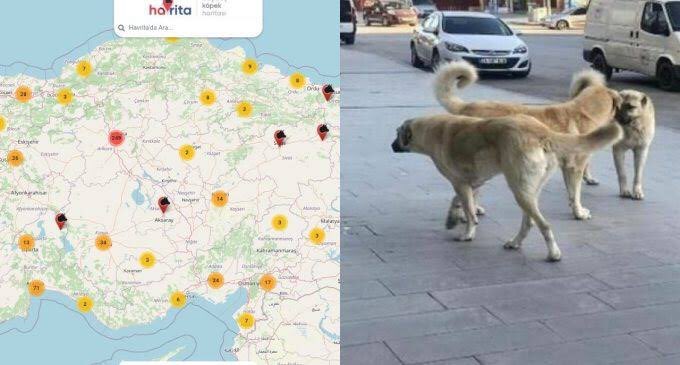 #SonDakika: Mahkemeden Havrita kararı! Erişim engeli getirildi.

Sokak köpeklerinin yaşadıkları yerleri harita üzerinden gösteren Havrita uygulamaya, Ankara 1. Sulh Ceza Hakimliği'nin 22 Ağustos tarihli kararıyla erişim engeli getirildi.

 #havritakapatılsın