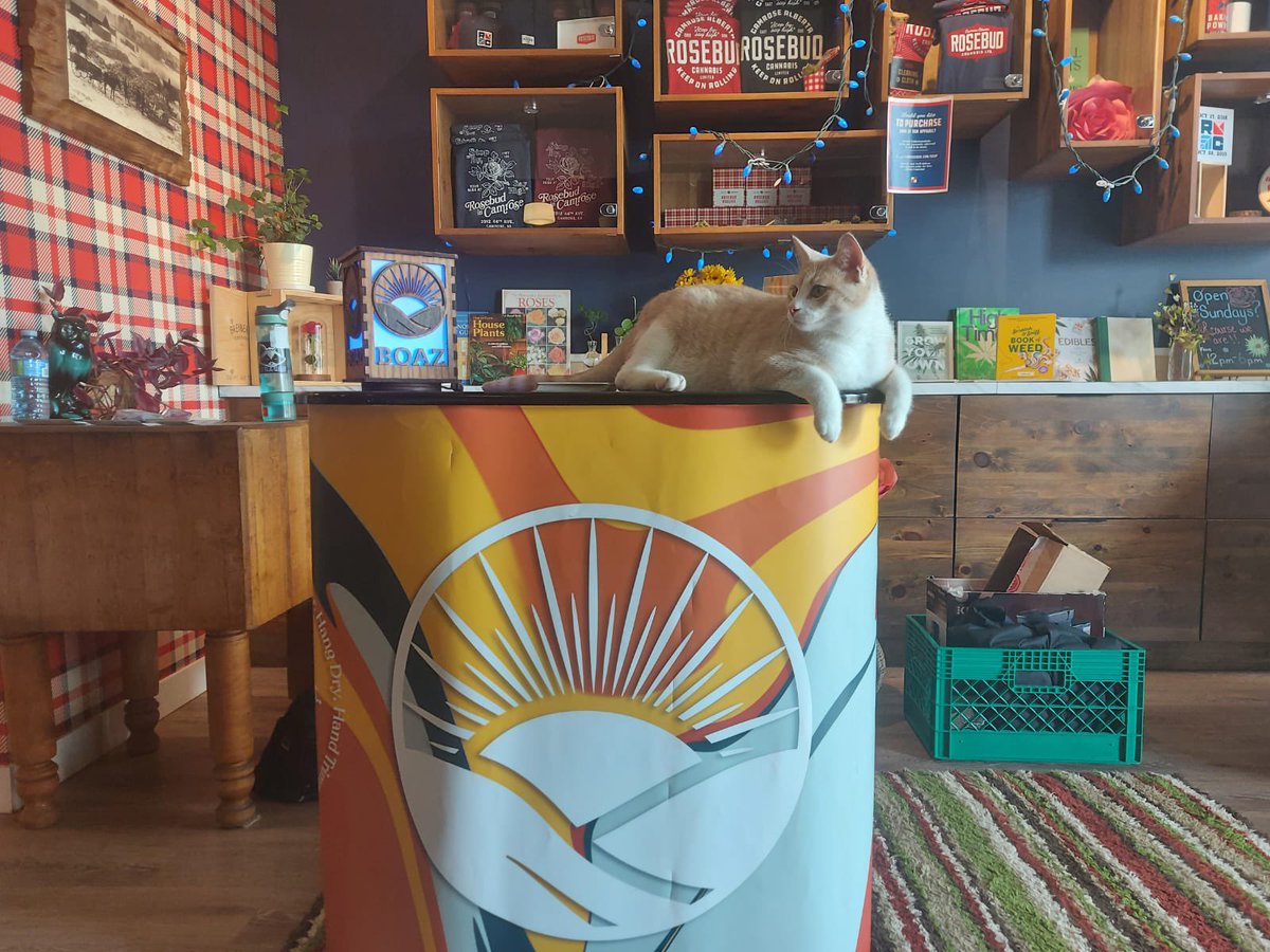 Had a jammed pack weekend full of pop-ups. Did anyone get out to see our crew? <a href="/yogarose2/">Nancy-Anne Rose</a> had a Boaz fan come and hang with her during her pop up. Just love the #420community !