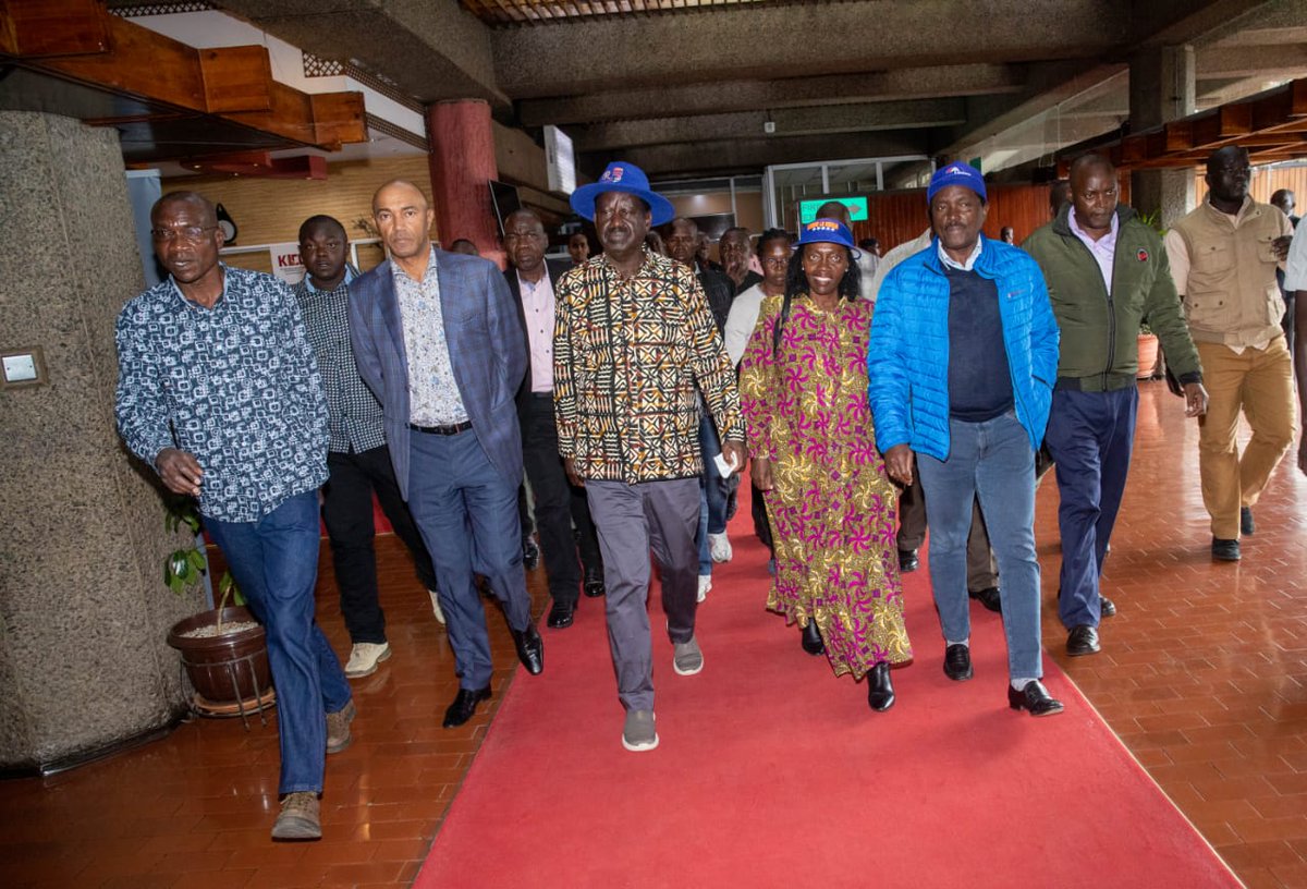 Ruto failed to attain 50 per cent plus one threshold by 441 votes – Raila

Link: bit.ly/3QFJyDa