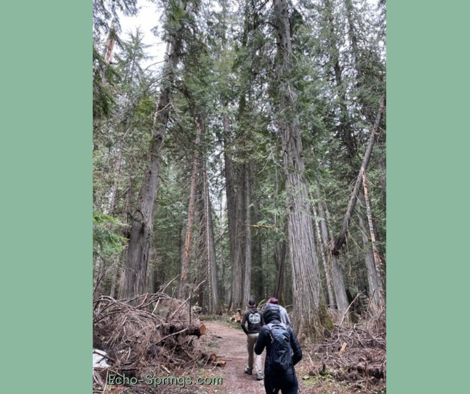 EchoSprings_ID's tweet image. “The best way out is always through.” – Robert Frost

At Echo Springs we work with talented young people to help them find their own path through.

#echosprings #findyourpath #transitionstudy