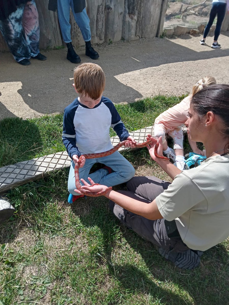 hrobbiemusic's tweet photo. A very brave boy with a snake called Frank 🐍 @MrsMorrisonLVPS @mrselliottlvps https://t.co/JVUH1X4LFy