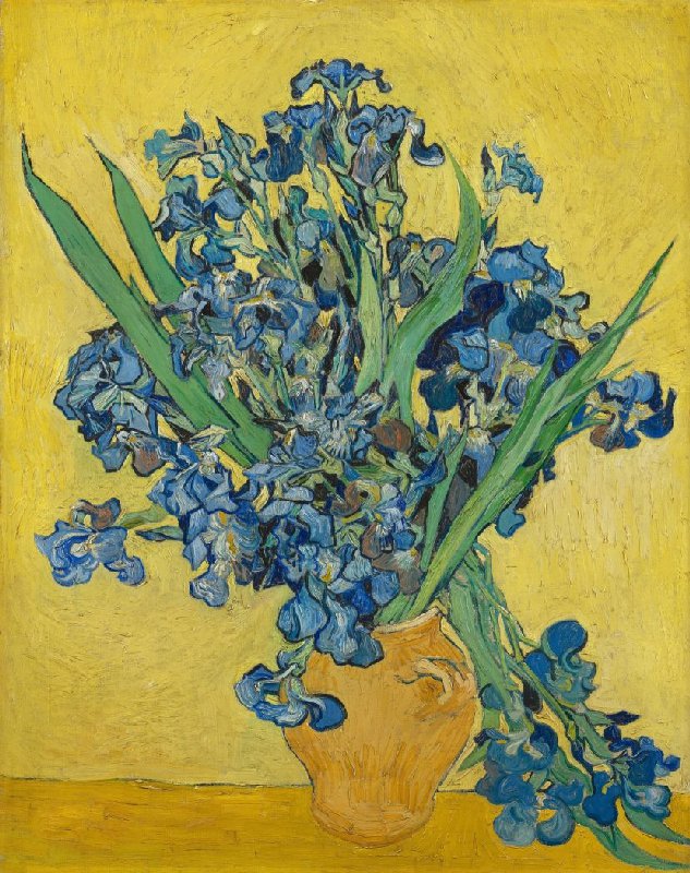 vangoghniagara's tweet photo. Did you know? Although his last name is most commonly pronounced “van go,” it is actually pronounced “van gokh.” 🤔🌻

#vangogh #niagarafalls #art #funfact #learn #events #tourism #mondaythoughts #MondayMotivations https://t.co/PB4h9AjUkY
