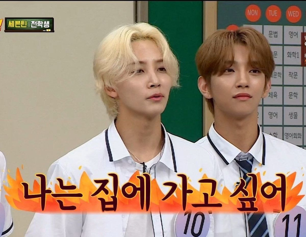 내가 쓰는 퇴근짤들 모음