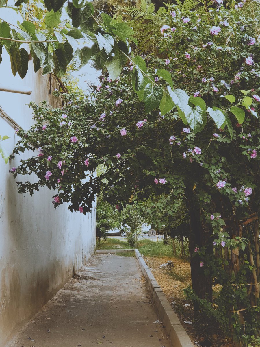 از قشنگیای محله‌مون