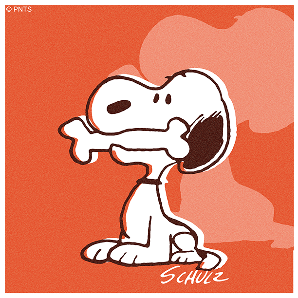 Snoopy's tweet photo. It's #GiveADogABoneDay! How are you treating your pup? https://t.co/wZu44IMtgz
