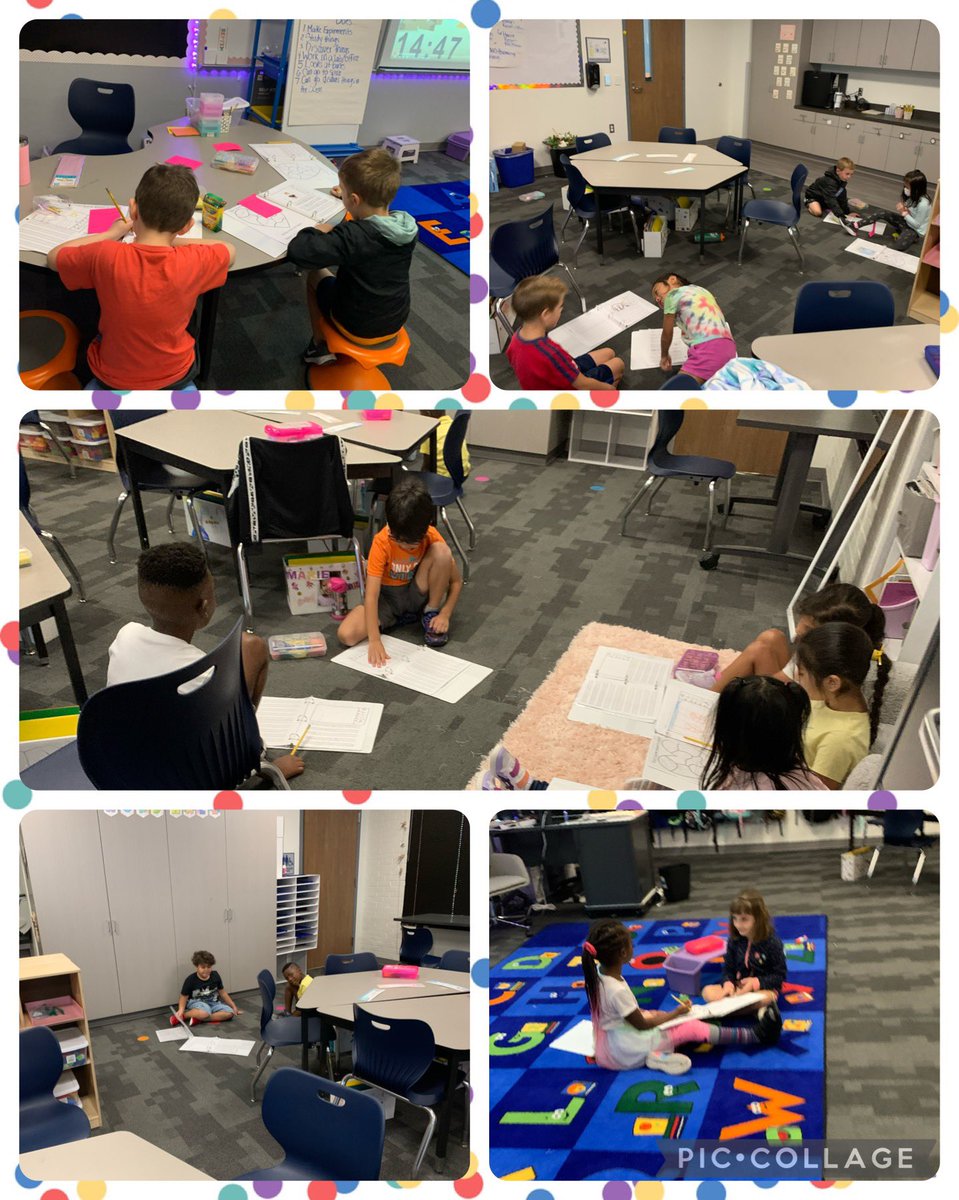 Paula Demechko tweet media