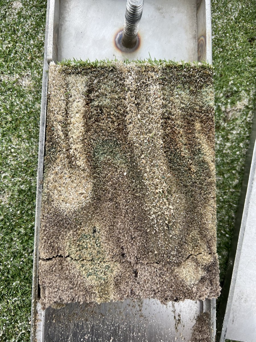 Palmetto Turf Masters LLC tweet media