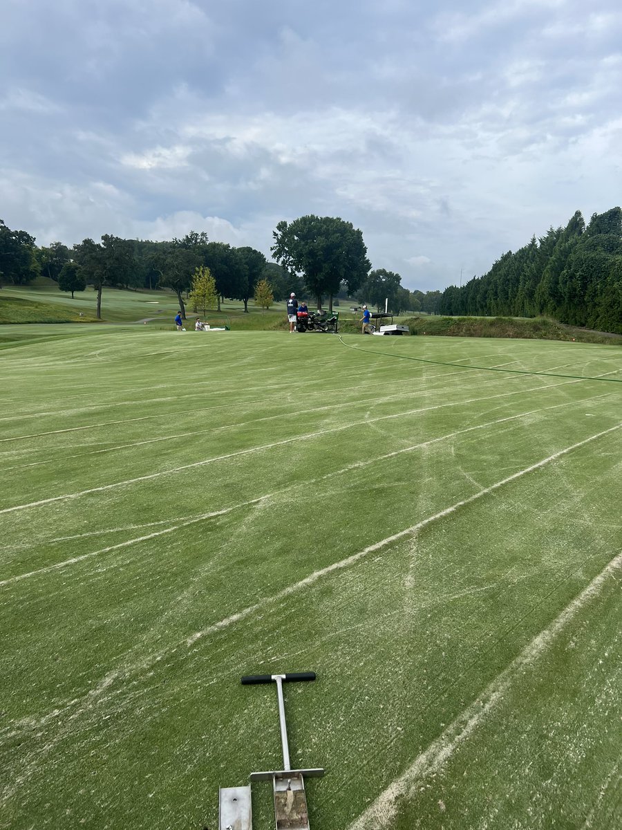 Palmetto Turf Masters LLC tweet media