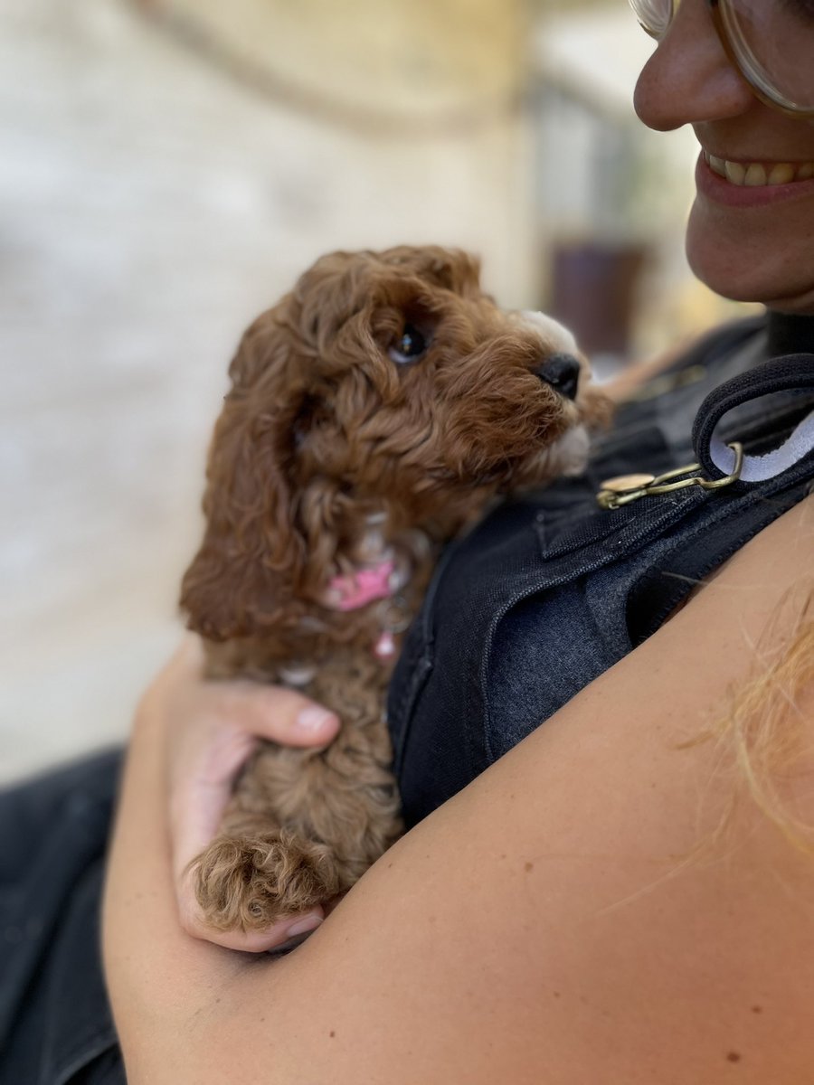 Muntsy's tweet media