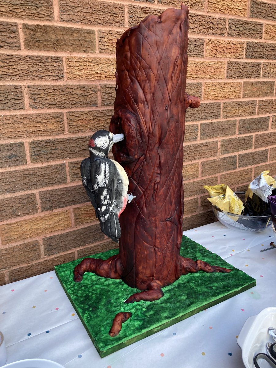 SoCakesUK's tweet photo. @bbcwildlifemag @Natures_Voice when your son (5) asks for a woodpecker cake and your a cake artist so you take the challenge. As your his favourite places/ reading I thought I’d share #birdwatching #cakeart #cakebossnaredetv https://t.co/cb30i77HhS