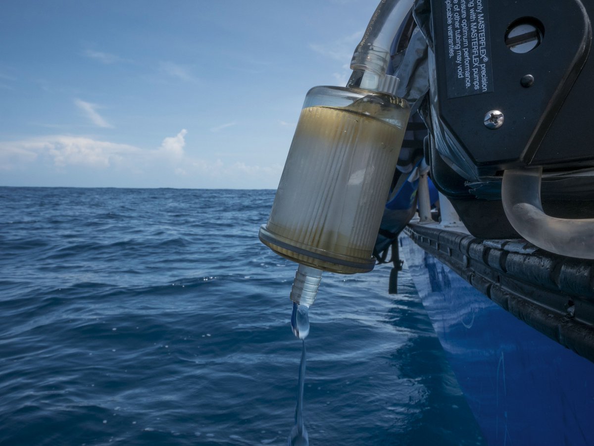 Benchmarking eleven #biodiversity indicators based on environmental DNA #eDNA surveys: more diverse #fish functional traits and evolutionary lineages inside than outside marine #reserves besjournals.onlinelibrary.wiley.com/doi/abs/10.111…