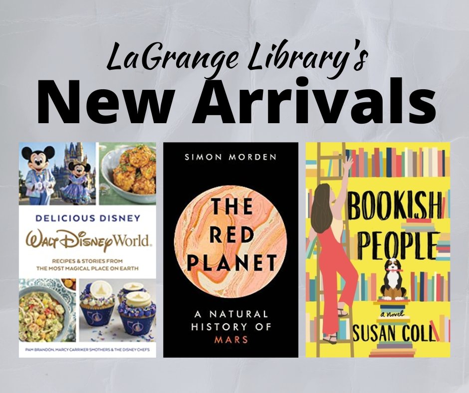 LaglibNY's tweet image. We have new books for you!  You can find these new books and many more by browsing our New Books display or searching the catalog online at www.laglib.or  #newbooks #mhls #summerread